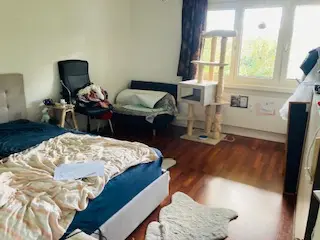 Helle und ruhige 4.5 Zimmer Wohnung im EG - Bild 4